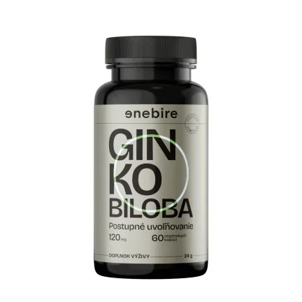 Ginko Biloba | Pamäť a sústredenie prirodzenou cestou